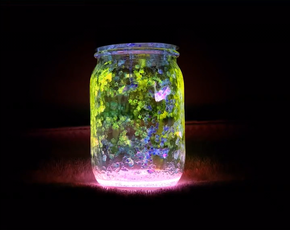 精选51个日常生活小妙招短视频视频素材–第1波