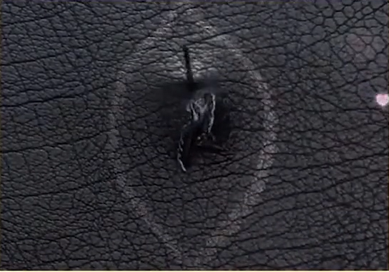 精选115个日常生活小妙招短视频视频素材–第7波