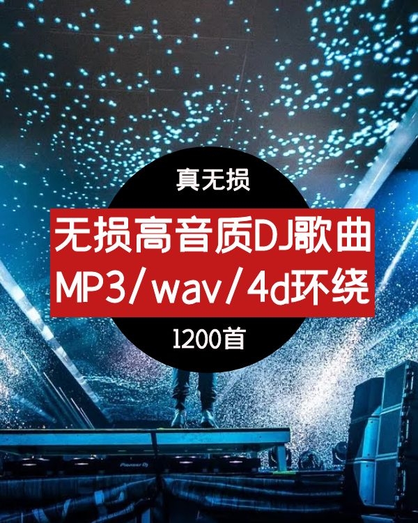 抖音真无损DJ歌曲