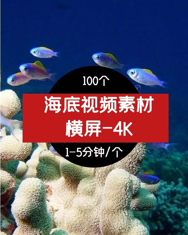 海底风景视频素材