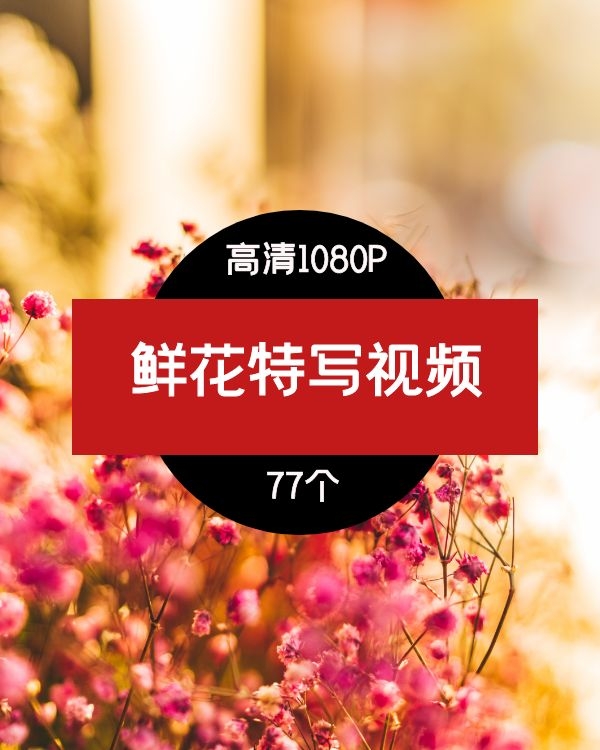 鲜花特写视频素材-2