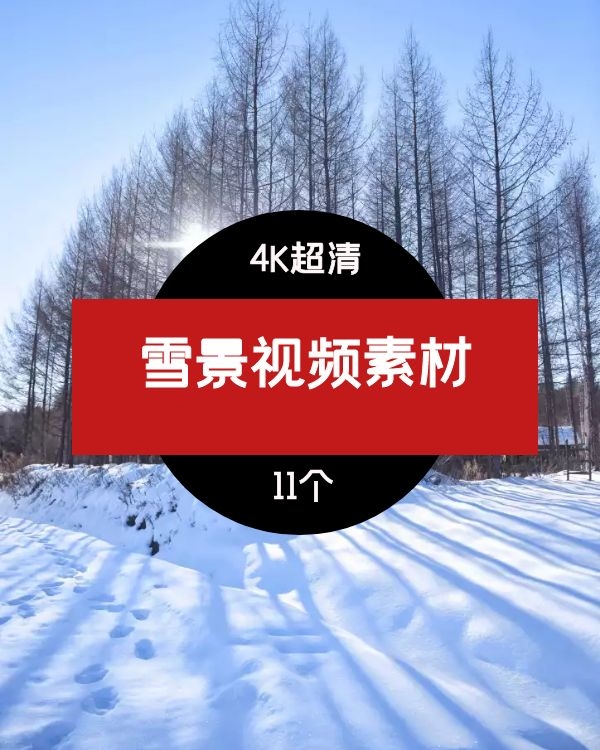 高清4K雪景视频素材04