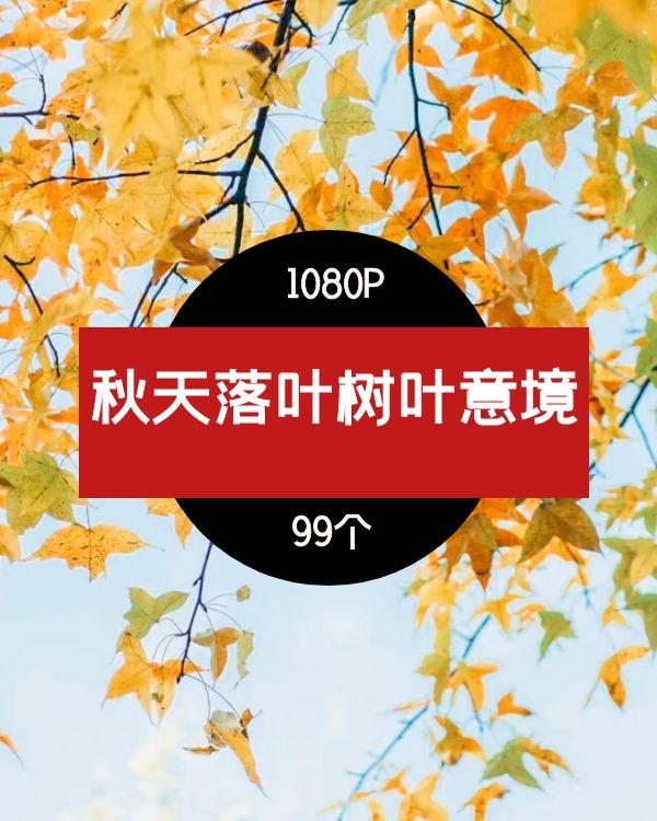 秋天落叶树叶意境视频素材