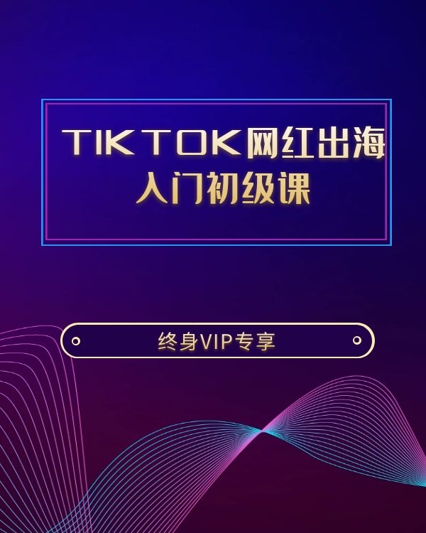 TIKTOK网红出海 入门初级课