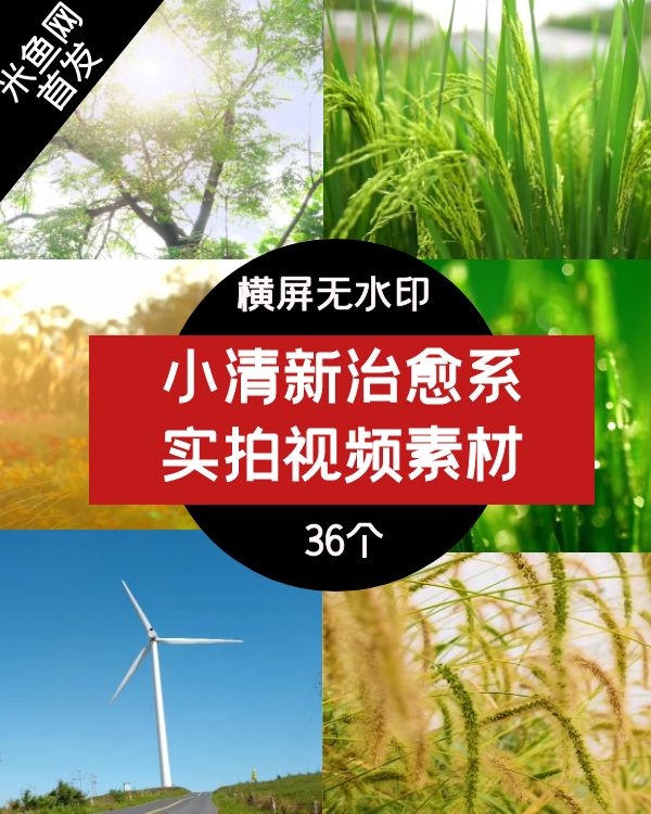 小清新治愈系高清视频素材