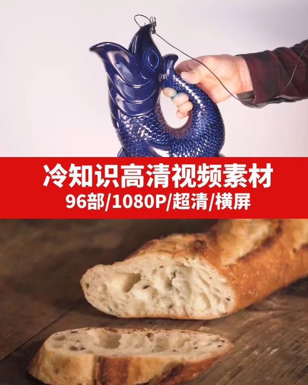 热门冷知识高清视频素材下载