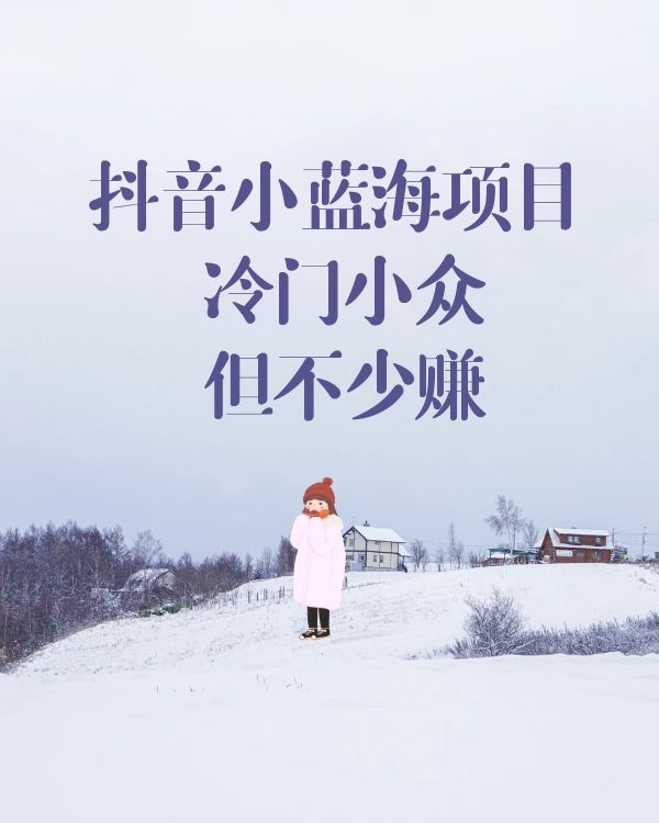抖音小蓝海项目 冷门小众，但不少赚