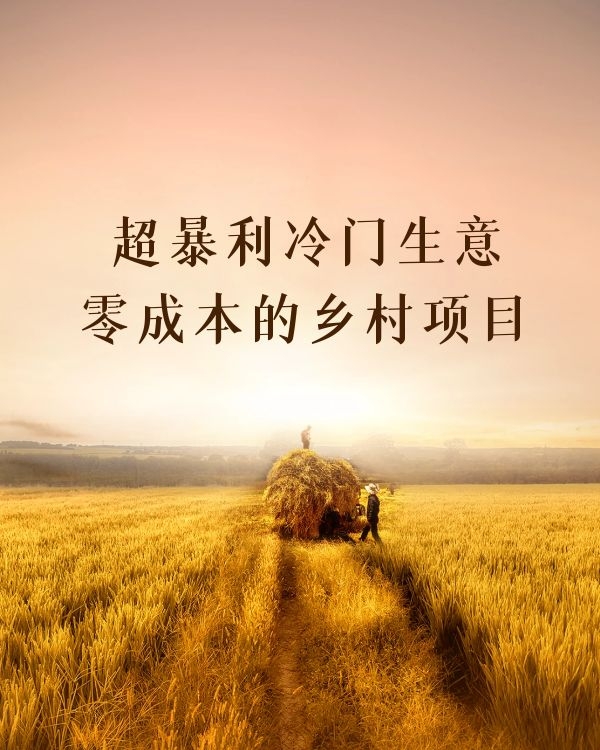 超暴利冷门生意 零成本的乡村项目
