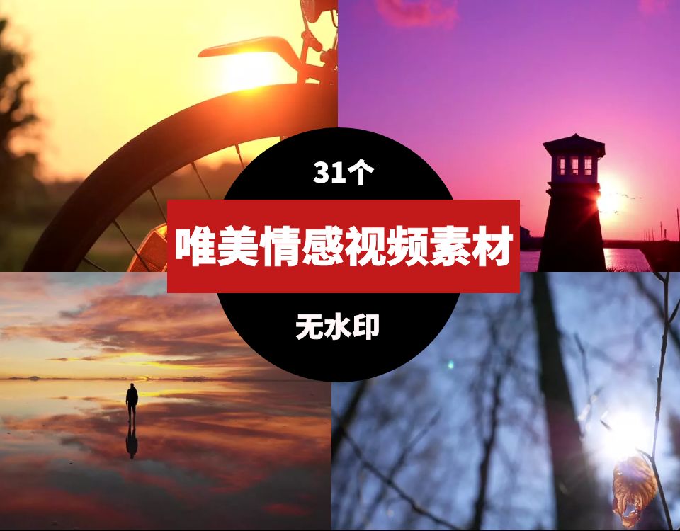 唯美情感视频素材