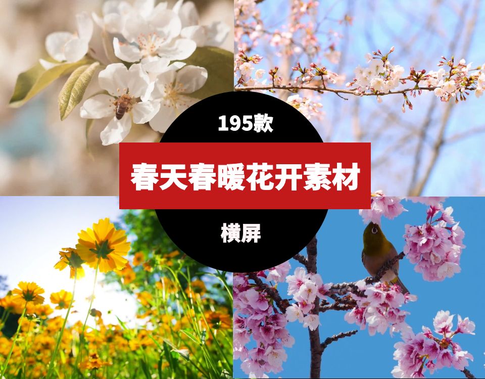 春天春暖花开鲜花盛开素材