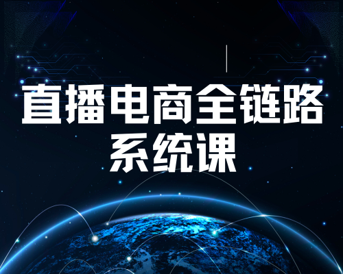 直播电商全链路系统课(共150节)