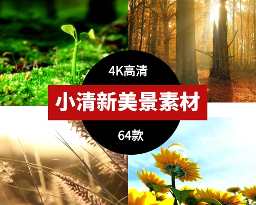 小清新美景视频素材