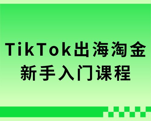 TikTok出海淘金，新手体系化入门（2024）