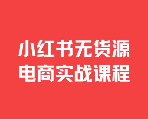 小红书无货源电商实战课
