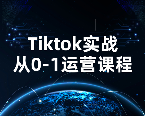 Tiktok实战从0-1运营教学课程（2024最新）