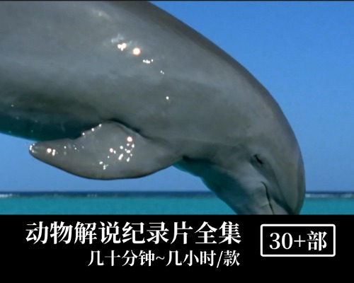 动物解说纪录片中英双字高清 大合集