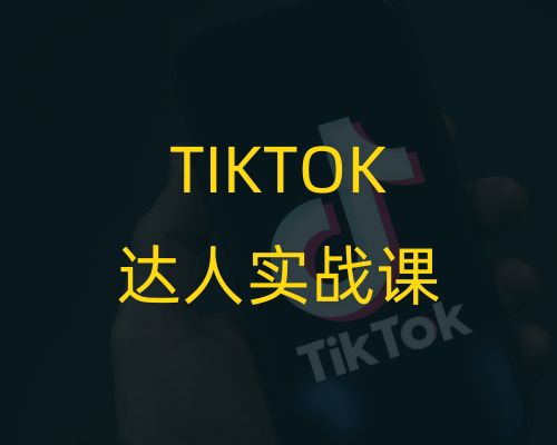 2024年最新TikTok达人实战课