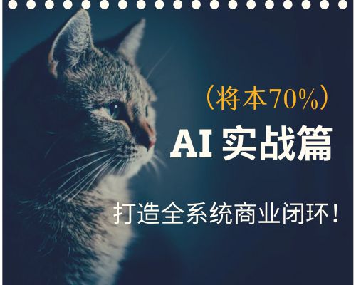Ai全系统商业闭环矩阵打造,帮电商、实体降70%成本