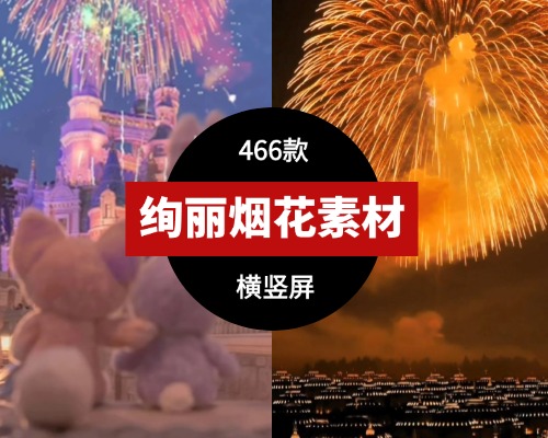 新年烟花横竖屏高清视频素材